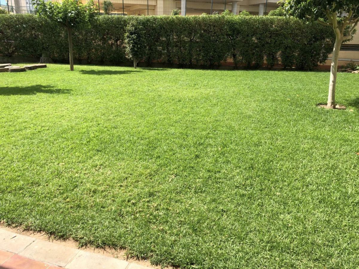 Sun & Beach Pobla Puebla de Farnals Εξωτερικό φωτογραφία